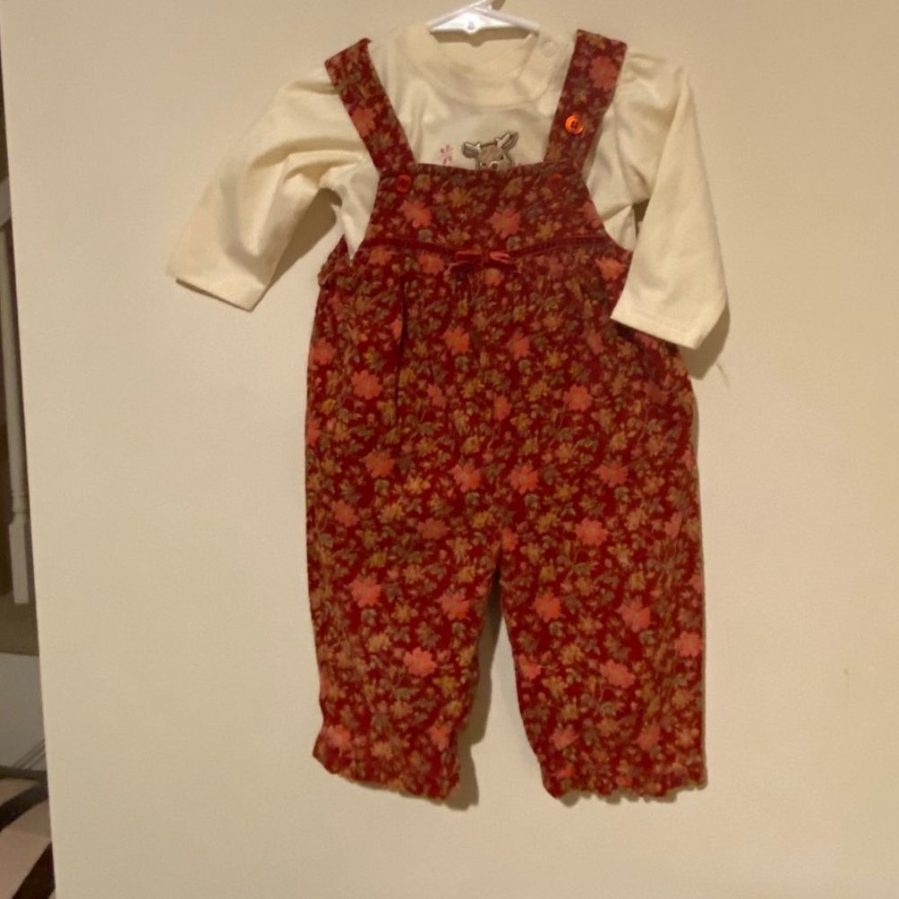 overalls - Picture 2 of 2